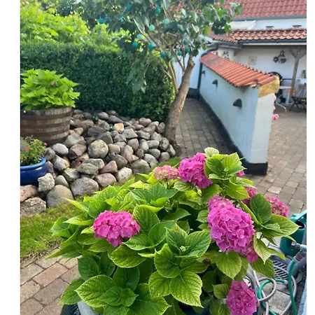 Idyl I Landsby *